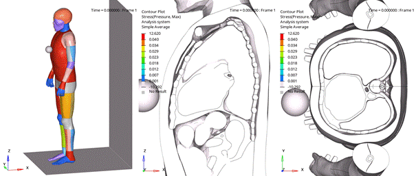 Dynamic explicit simulation of a human body